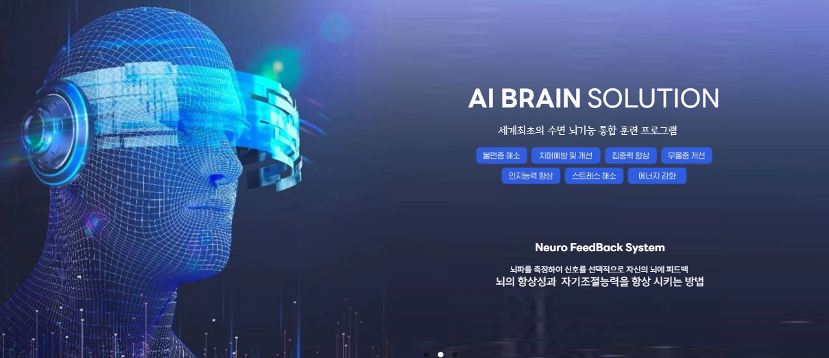 AI브레인솔루션