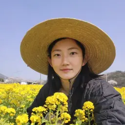 진도그루브